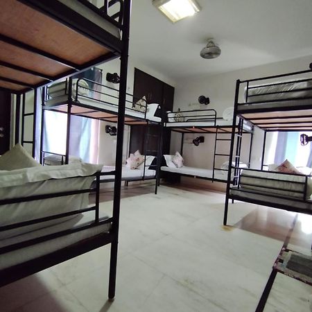 A Sleepy Fox Hostel Nuova Delhi Esterno foto