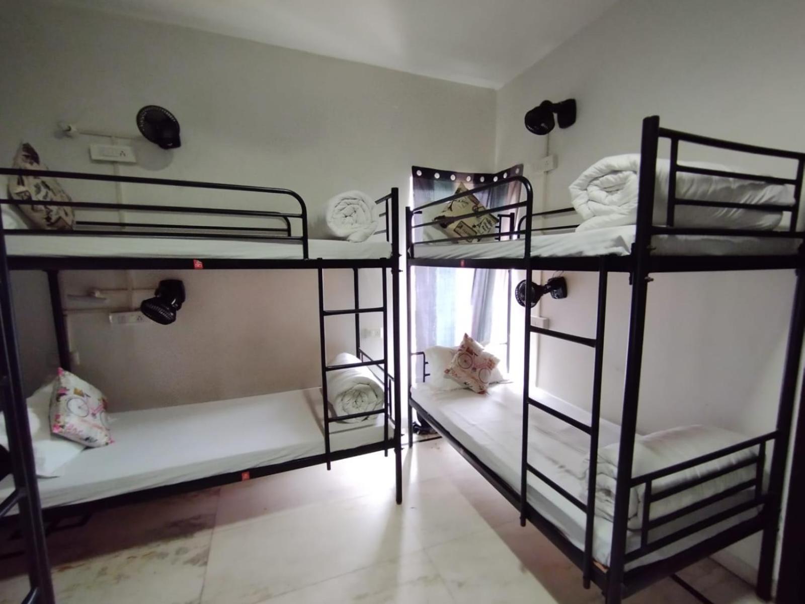 A Sleepy Fox Hostel Nuova Delhi Esterno foto